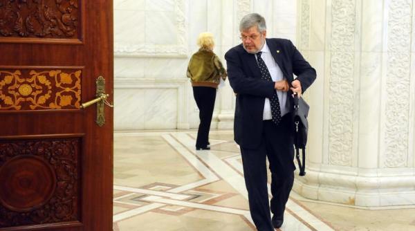 georgica severin pozi ie tran anta cu privire la familia bodnariu