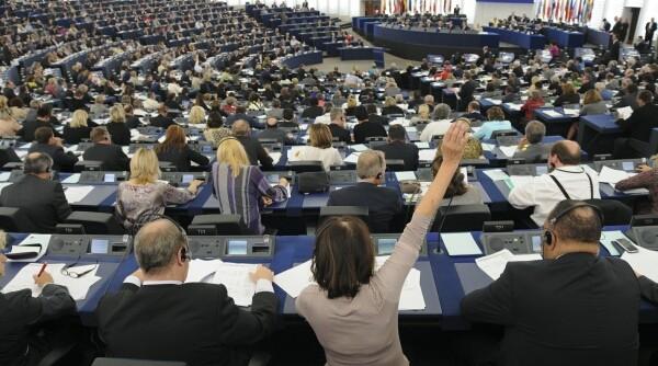 claudia apardel a cerut sprijin in plenul pe pentru familia bodnariu