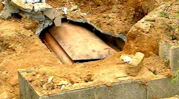 inginera condamnata pentru profanare de morminte ce explica ie a dat