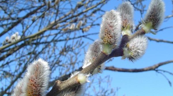 noi date de la meteorologi cum va fi vremea in urmatoarele trei luni