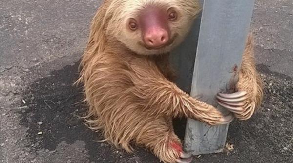 lene salvat de la moarte de un poli ist