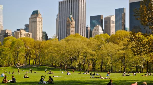 bancul zilei un tip se plimba prin central park