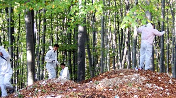crima perfecta elodia a fost ascunsa la primarie