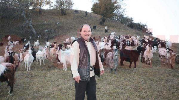 un primar psd se retrage din politica pentru a se dedica oilor