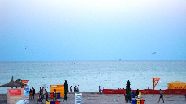 adevarul despre o tire care a starnit controverse sondaj exclusiv in urma ultimelor informa ii