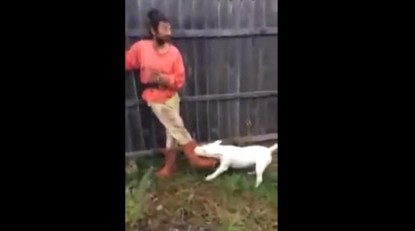 cristi raspunde cine este barbatul strigat de toata romania