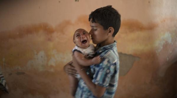 oms virusul zika urgen a mondiala in sanatate alerta globala de ultima ora