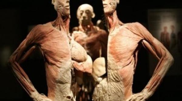 protest impotriva tiin ei la timi oara