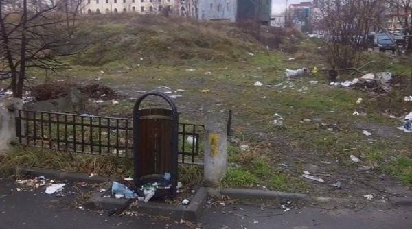 cheamalpecristi ro ideea unui candidat la primaria sector