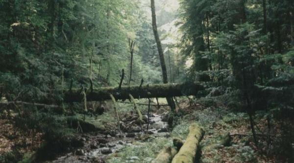 masura radicala a unui stat european pentru a evita o catastrofa ecologica