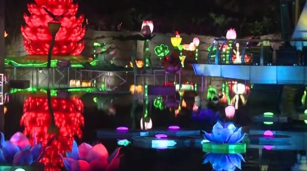 dubai cea mai mare gradina de lumini din lume a fost inaugurata