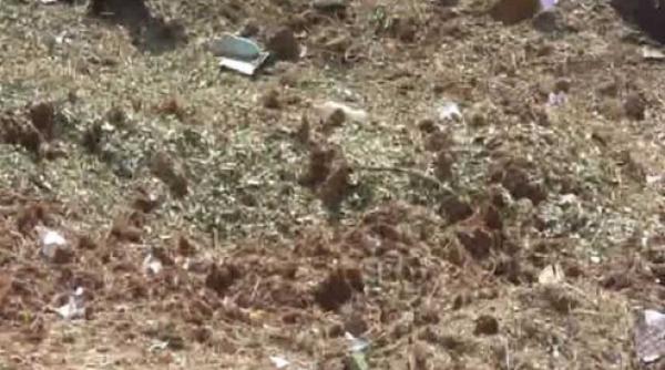 un ofer din india ucis de un meteorit