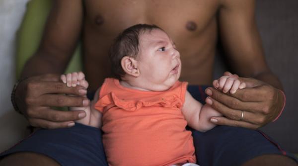 virusul zika cifrele care inspaimanta