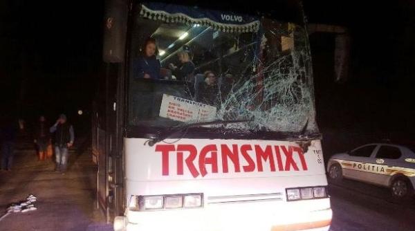 olt  autocar implicat intr un accident rutier un cal a sarit in parbrizul autovehiculului