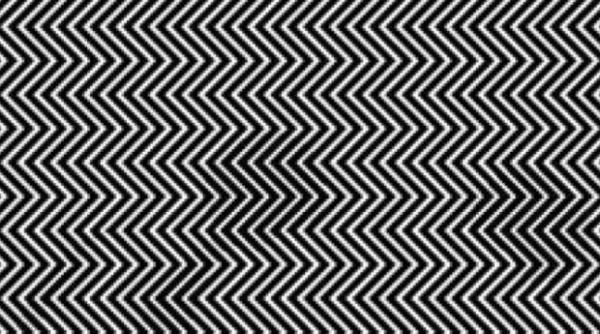 tu reusesti sa gasesti ursul panda din imagine