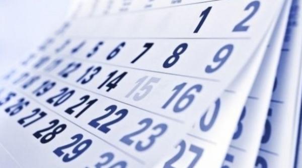 ziua de na tere a lui constantin brancu i declarata sarbatoare nationala