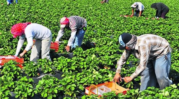 bancul zilei maria mandra de nepotul ei