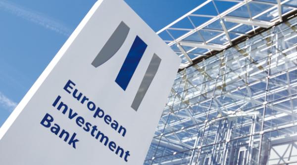 fost viceguvernator bnr a fost numit vicepre edinte al bei