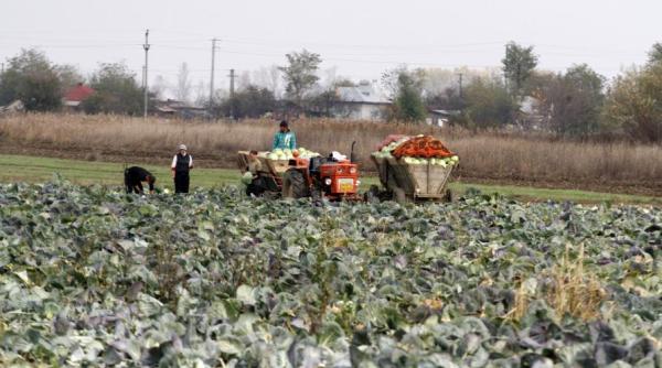 daniel buda solicita scutirea asociatiilor agricole de la plata impozitelor