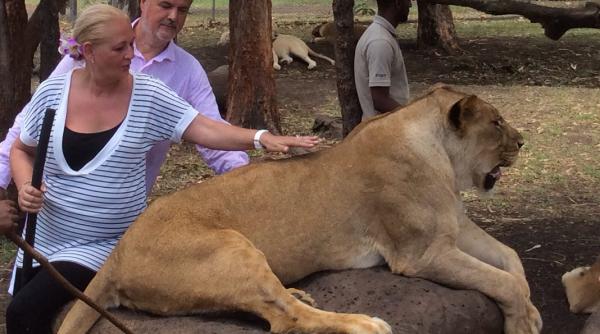 adrian nastase analiza dura pentru romania transmisa de 1 martie