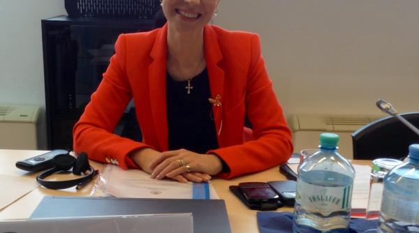 ana birchall fenomenul migratiei prezinta implicatii economice la nivel european