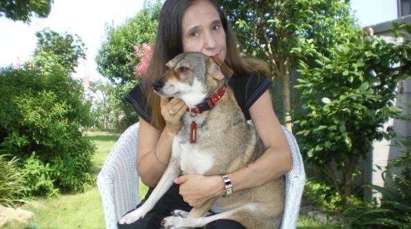 hanako povestea unei ca elu e care confirma macelul cainilor maidanezi din romania