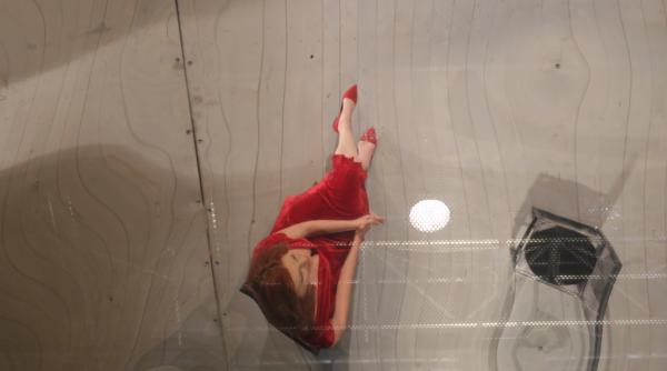 radu jude debut in teatru cu scene dintr o casnicie de ingmar bergman