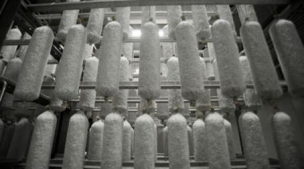 citi i eticheta doar 5 firme pot produce salam de sibiu