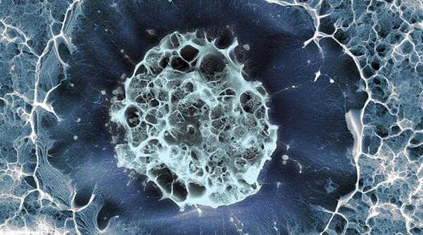 imaginile fascinante din lumea tiin ei