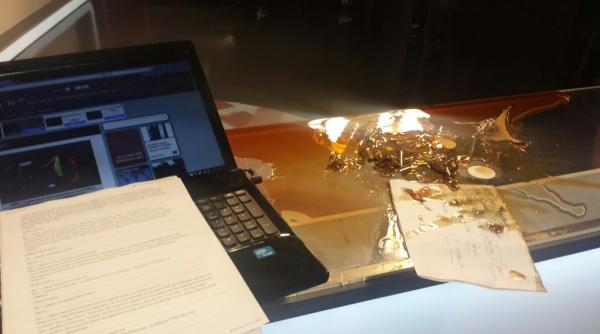 o cunoscuta jurnalista ocata de ce i s a intamplat am incremenit