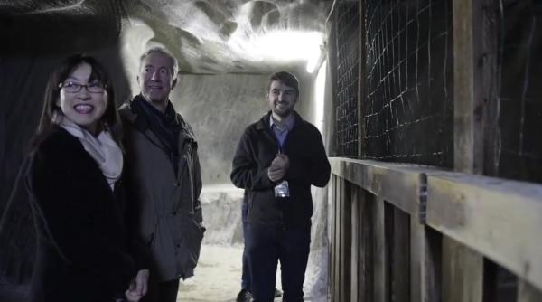 ambasadorul sua cea mai recenta victima a fenomenului ba cristi