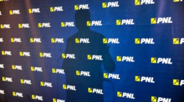 alegeri locale 2016 pnl i a ales candidatul pentru sectorul 6