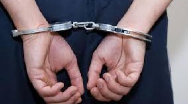 fostul presedinte cj botosani florin turcanu a fost arestat