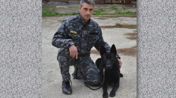 ciobanescul german erou premiat dupa ce a salvat via a unei femei