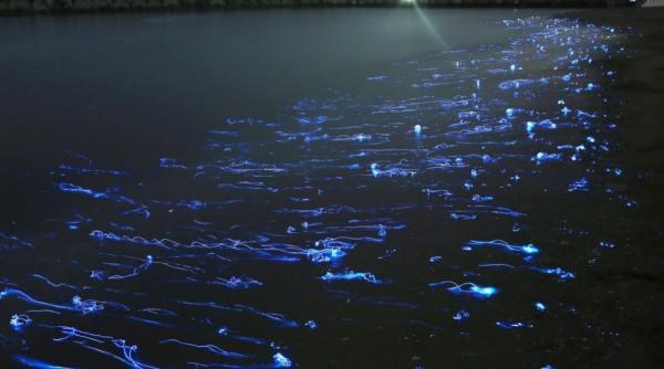 imagini fascinante care dezvaluie adevarata frumuse e a acestei lumi