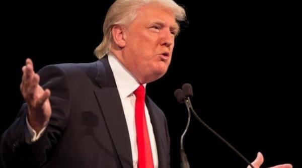 ironie ocanta la adresa lui donald trump ce a aparut in central park