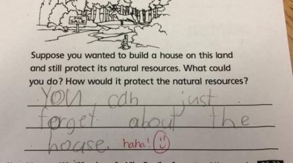 raspunsul unui elev de clasa a cincea la un test viral pe internet