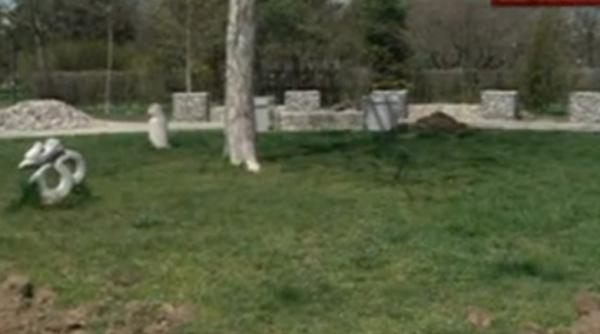 piedone ultimul tun dat primariei sectorului 4 inainte de a fi suspendat