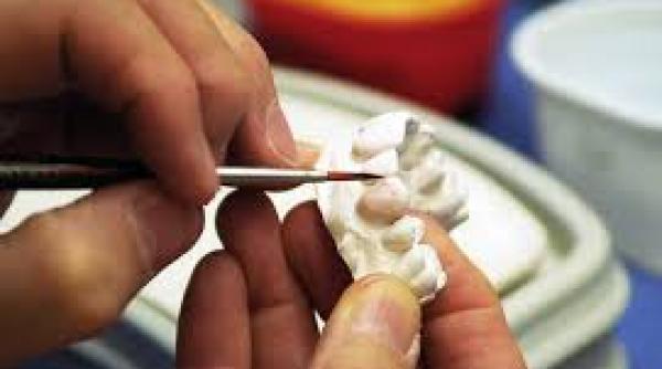 senat  reglementari privind ordinul tehnicienilor dentari