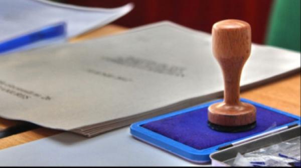 decizie privind procesul in care pnl a dat in judecata guvernul pe tema alegerilor locale