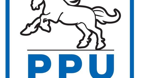 alegeri locale 2016 candida ii ppu pentru primariile sectoarelor 1 2 3 si 5