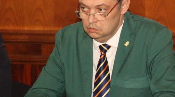 alegeri 2016 ecologi tii i au desemnat candidatul pentru primaria capitalei