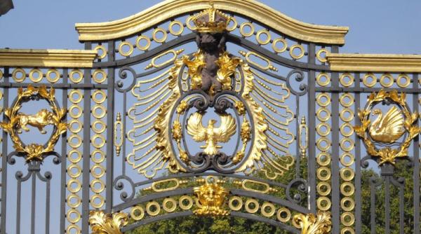 fotografie cu totul speciala realizata la palatul buckingham