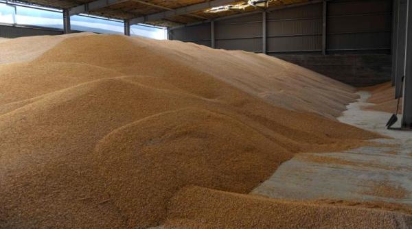 strategia marilor corpora ii aduce romania in faliment cel mai rau an din 1997