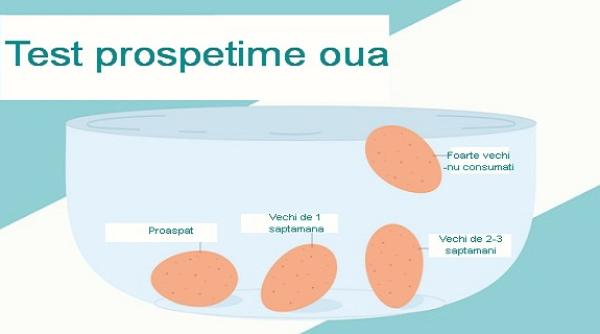 cum testezi prospe imea unui ou foto