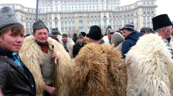 crescatorii de oi se pregatesc din nou de proteste