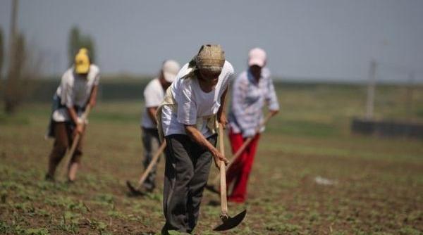 ministerul muncii decis sa scoata zilierii din economia gri