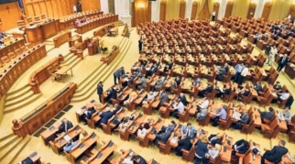 scandal in parlament pnl nu o vrea pe irina radu la efia tvr