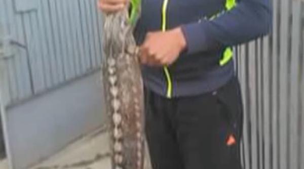 fiu de primar cautat de poli ie dupa ce a postat o imagine pe facebook