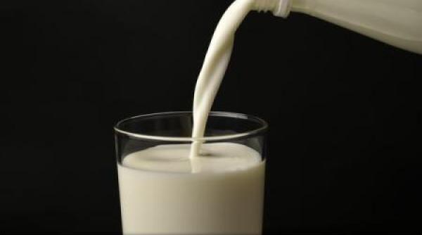 ansvsa plan na ional pentru depistarea e coli in carne si lapte